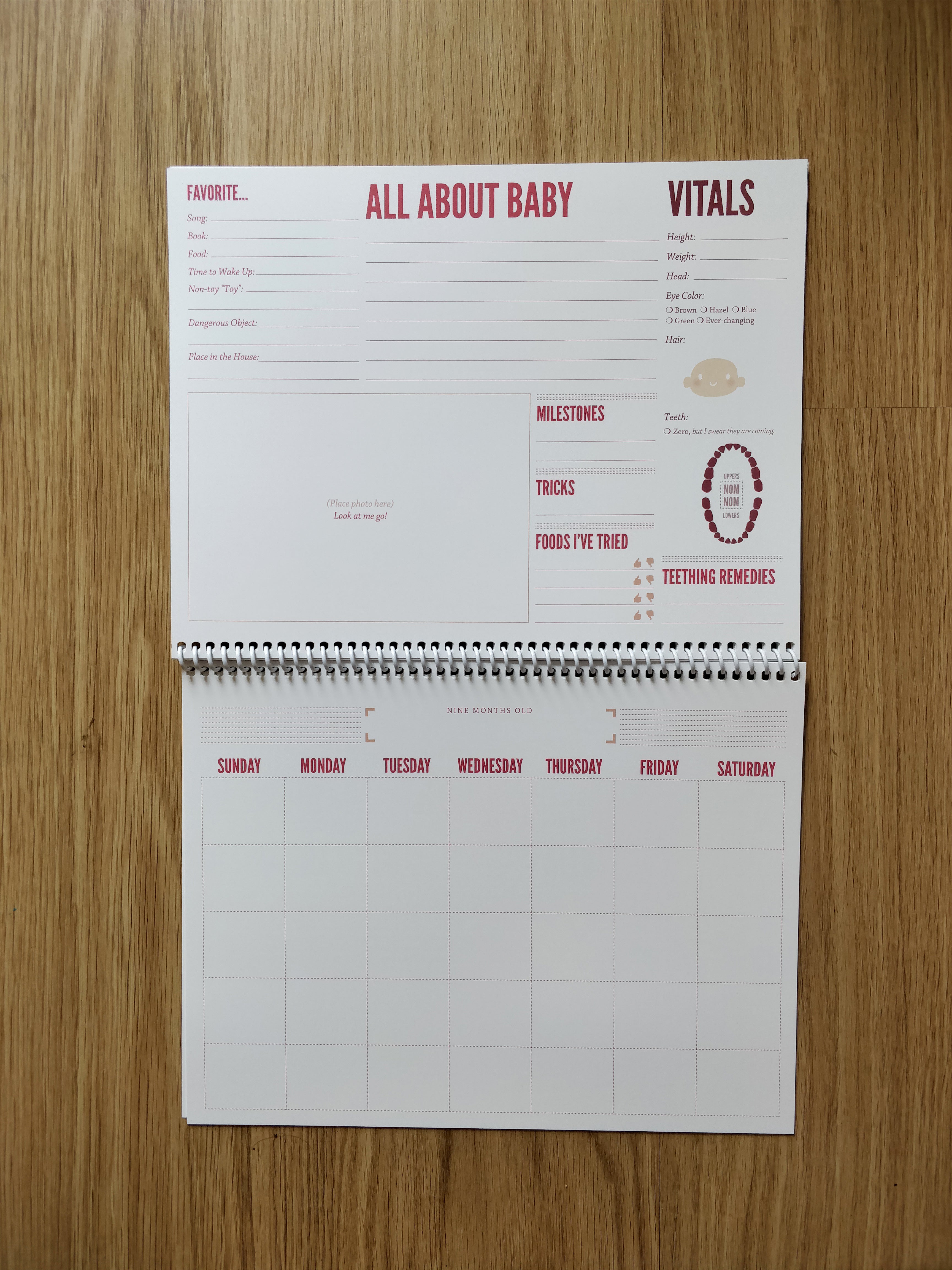 Baby's First Annual Report PINK! Edition: An Undated 13-Month Calendar